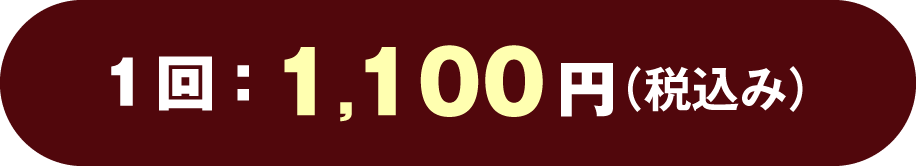 1回:1,100円(税込み)